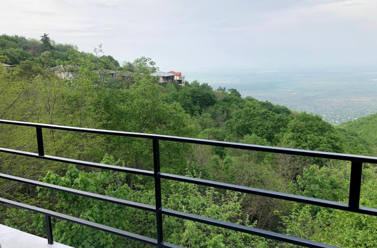 Hotel Martinichi Siğnaği Dış mekan fotoğraf