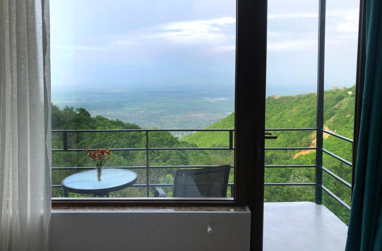 Hotel Martinichi Siğnaği Dış mekan fotoğraf