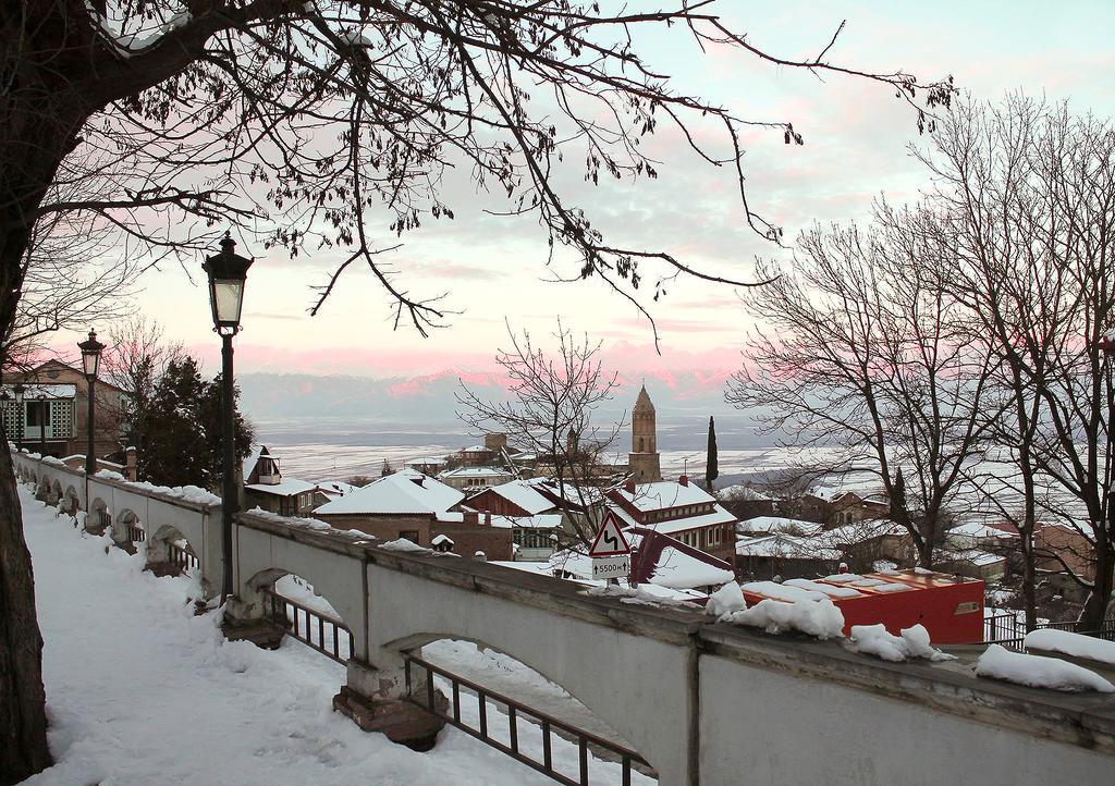 Hotel Martinichi Siğnaği Dış mekan fotoğraf